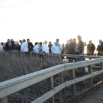 Cambria_0270 (November 02, 2013)